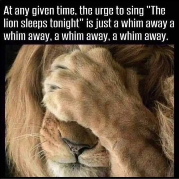 Ya Los Angeles retro print one shoulder chocolate brown mini fit/flare HP25x3 - Picture 8 of 11